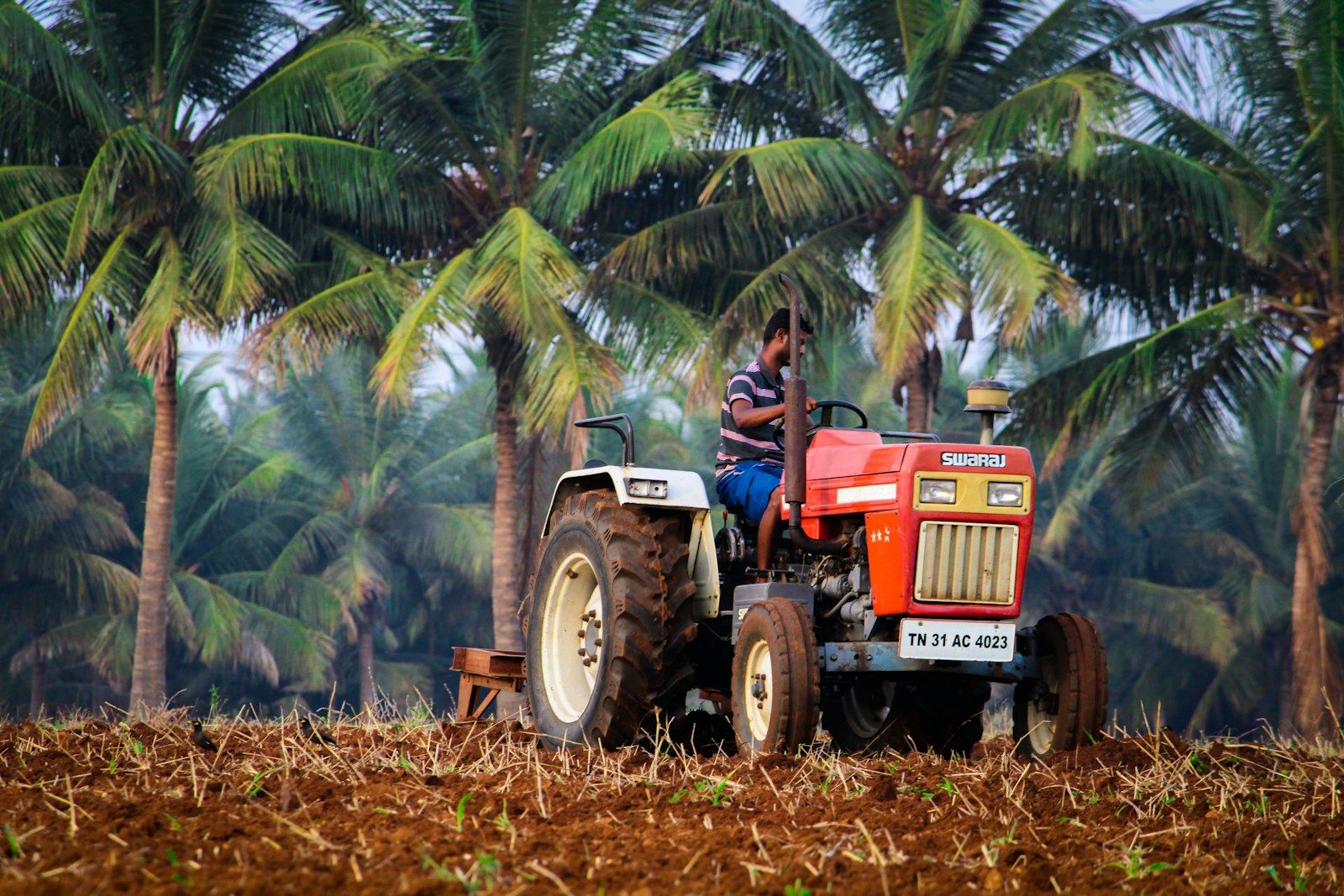 Tractor working on a tropical farm — illustrative farming photograph